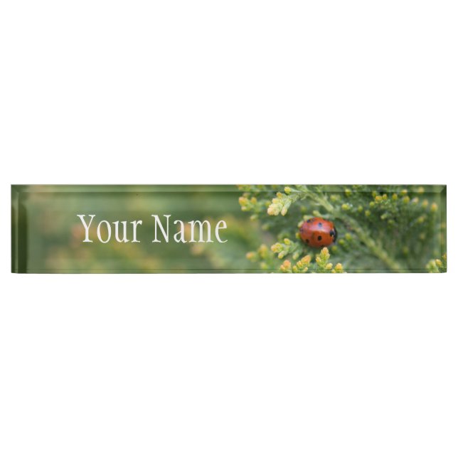 Ladybug Nameplate (Front)