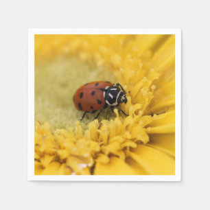 Ladybug     napkin
