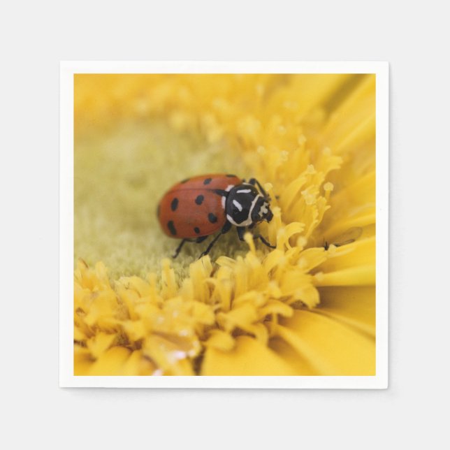 Ladybug     napkin (Front)