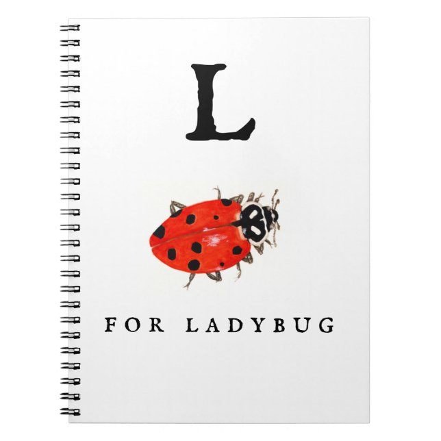 Ladybug  notebook (Front)