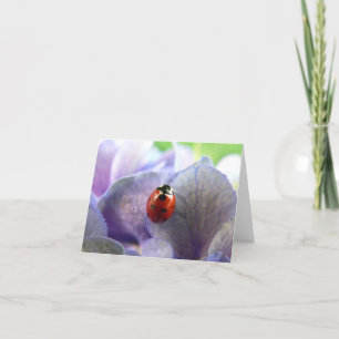 LadyBug Notecard