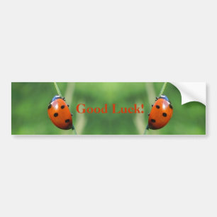 Ladybug on a blade of grass Bumper Stickers