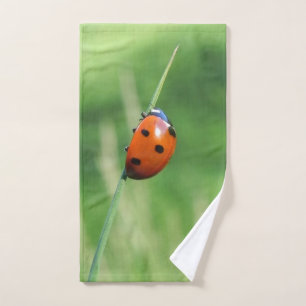 Ladybug on a blade of grass hand towel