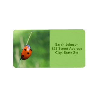Ladybug on a blade of grass Labels