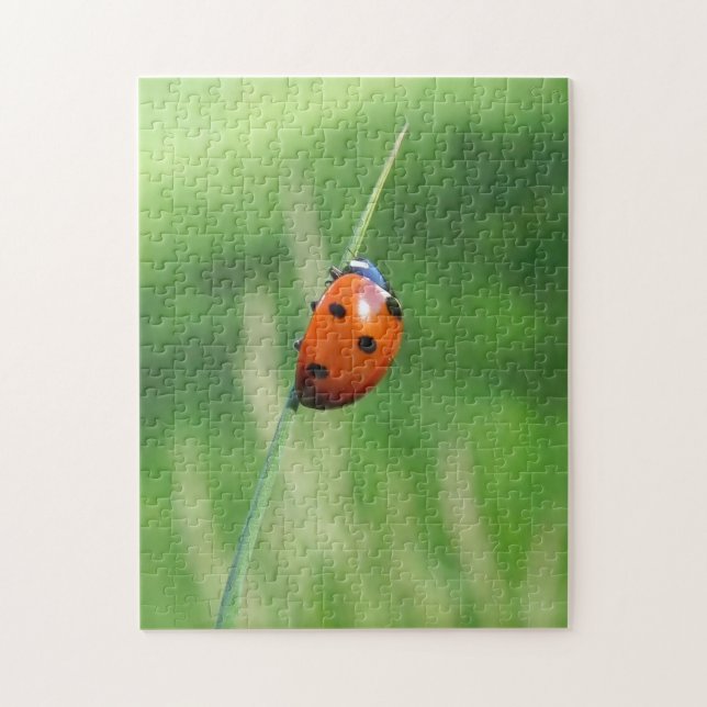 Ladybug on a blade of grass Puzzle (Vertical)