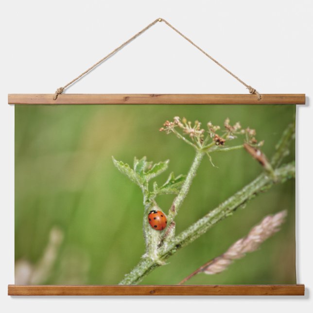 Ladybug on a green plant hanging tapestry (Front)