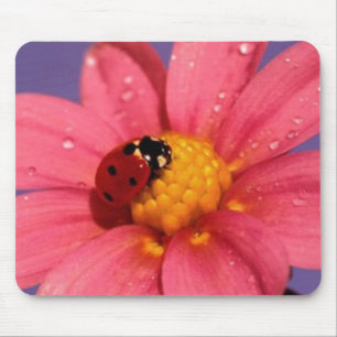 Ladybug On a Pink Daisy Mouse Mat