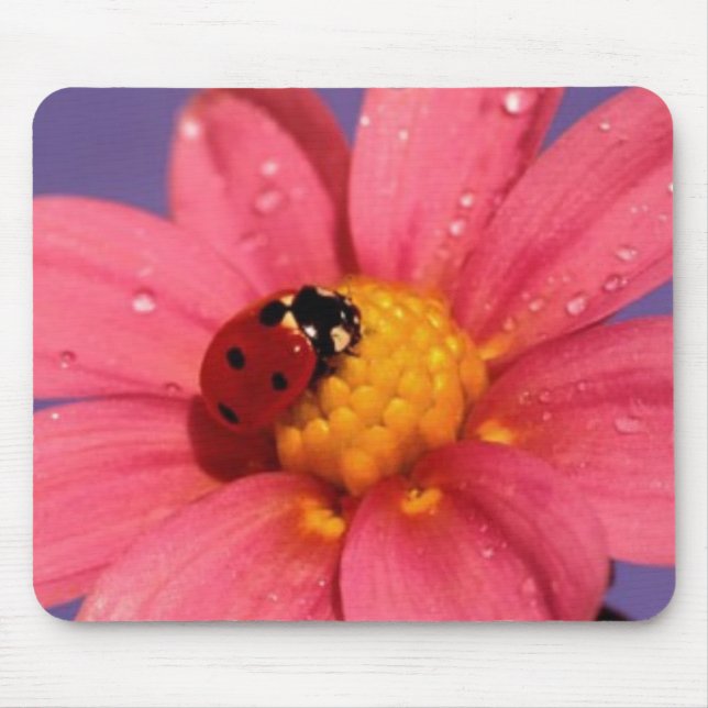 Ladybug On a Pink Daisy Mouse Mat (Front)