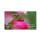 Ladybug on a rose business card