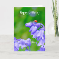 Ladybug on Bluebells Birthday Card