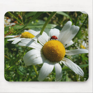 Ladybug on daisy in nature. mouse mat