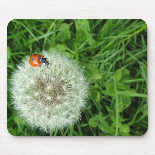Ladybug on Dandelion Mouse Mat (Front)