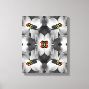 Ladybug On Dogwood Flower Abstract Nature   Canvas Print