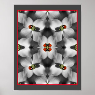 Ladybug On Dogwood Flower Abstract Nature   Poster