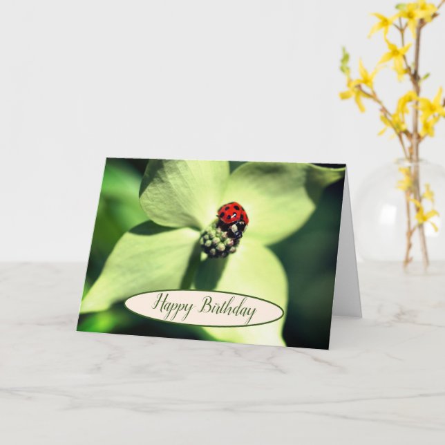 Ladybug On Dogwood Flower Birthday  Card (Yellow Flower)