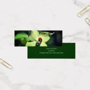 Ladybug On Dogwood Flower Nature Mini Bookmark