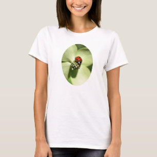 Ladybug On Dogwood Flower Nature T-Shirt