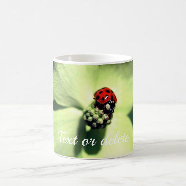Ladybug On Dogwood Flower Personalised Coffee Mug (Center)