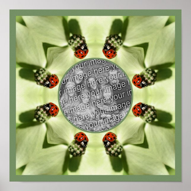 Ladybug On Dogwood Nature Add Your Photo Poster (Front)
