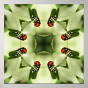 Ladybug On Dogwood Nature Art Poster