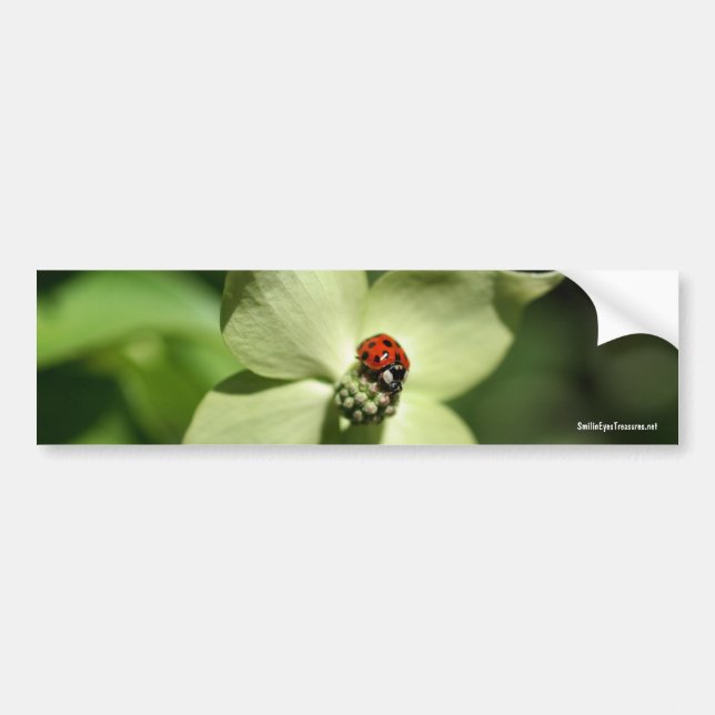 Ladybug On Dogwood Nature Photo Bumper Sticker (Front)