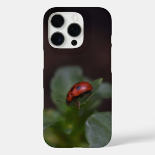 Ladybug on Flowers iPhone 16 Pro Case