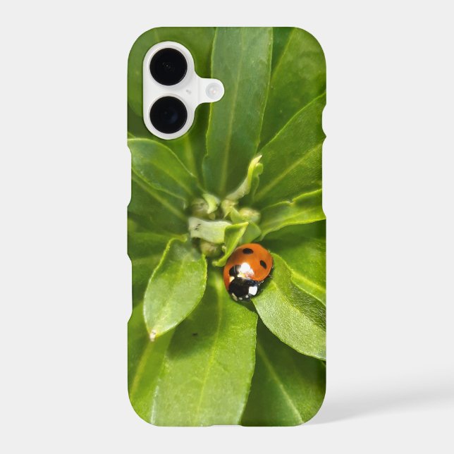 Ladybug on Flowers iPhone Case (Back)