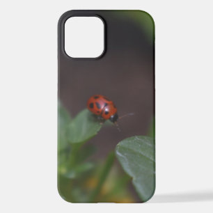 Ladybug on Flowers iPhone 12 Case