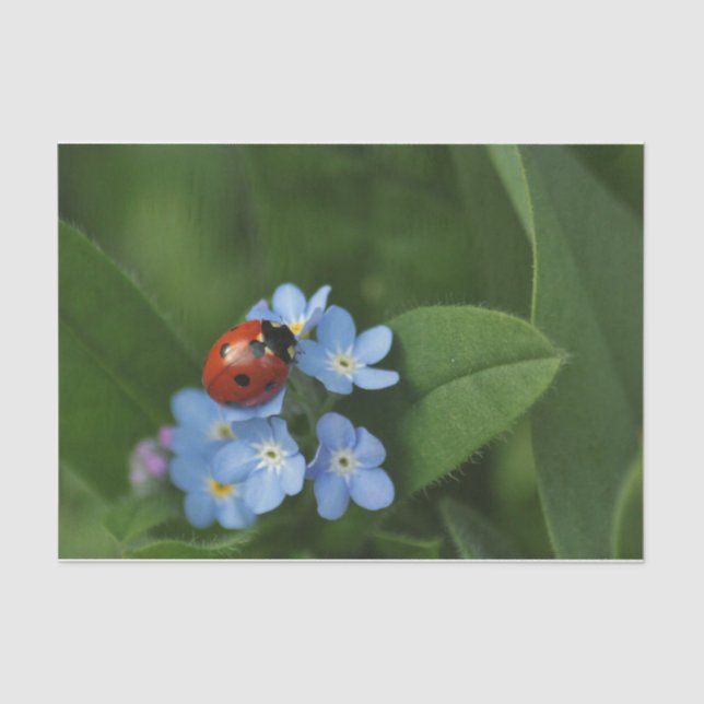 Ladybug On Flowers Tissue Paper (Front)