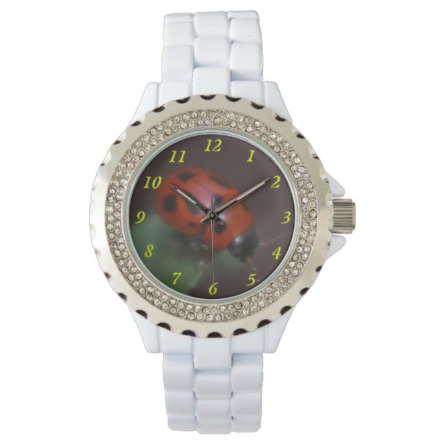 Ladybug on Flowers Watch (Front)