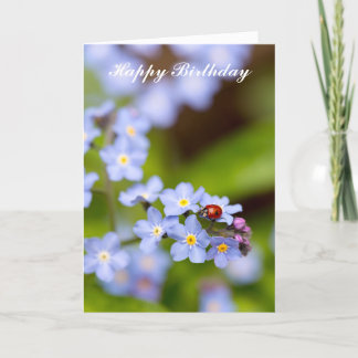 Ladybug on Forget-me-not Birthday Card
