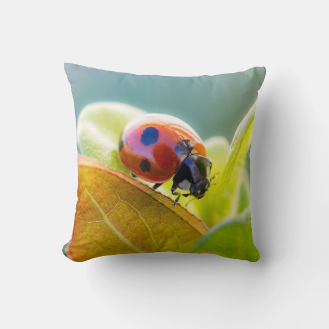 Ladybug On Leaf Cushion (Front)