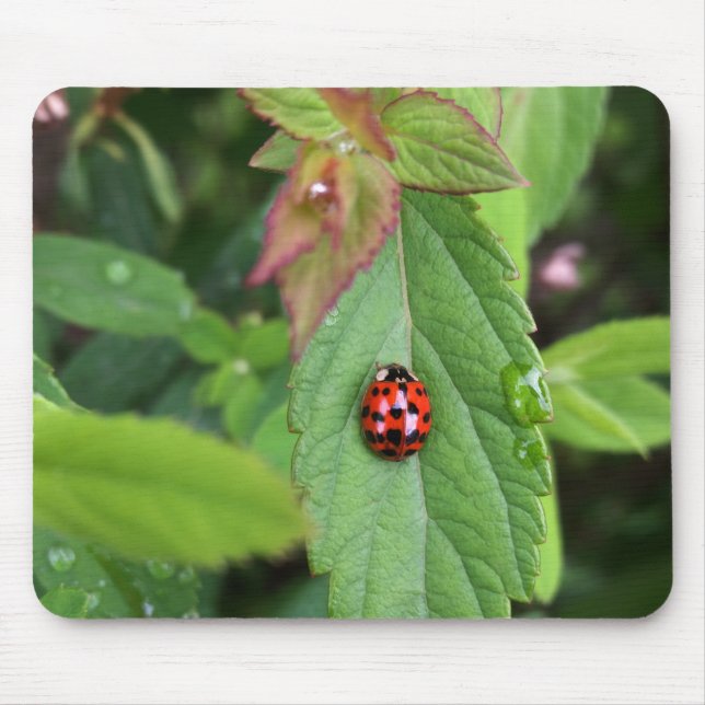 ladybug on leaf mouse mat (Front)