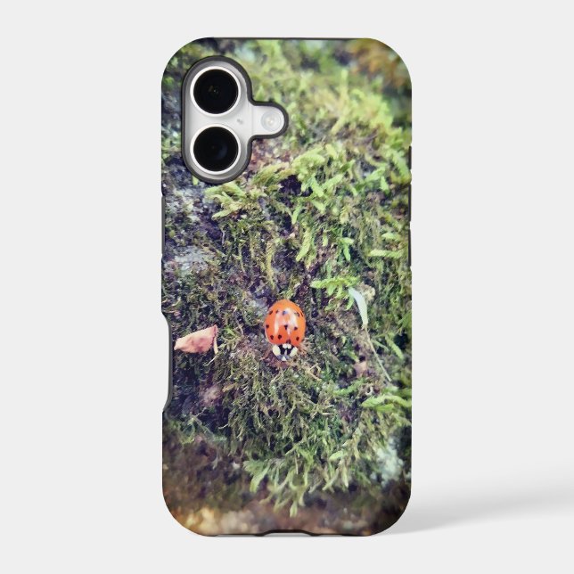 Ladybug on moss photography (Back)
