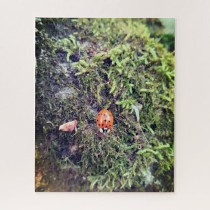 Ladybug on moss photography jigsaw puzzle