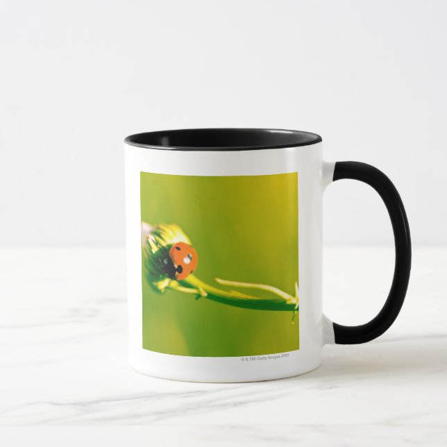Ladybug on sprig mug (Right)