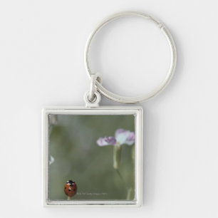Ladybug on Stem Key Ring