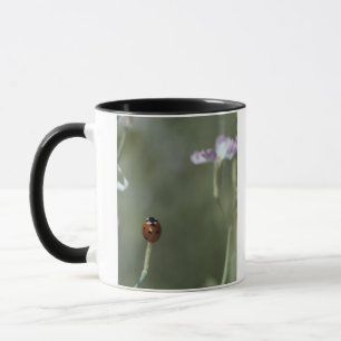 Ladybug on Stem Mug