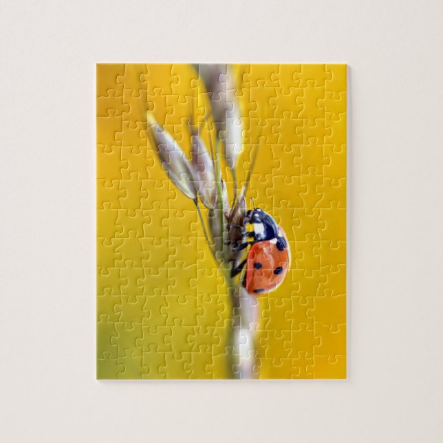 Ladybug on stem postcard jigsaw puzzle (Vertical)
