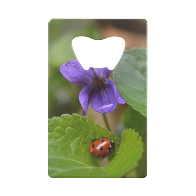 Ladybug on Sweet Violet Flowers (Front)