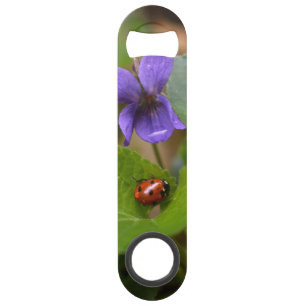 Ladybug on Sweet Violet Flowers