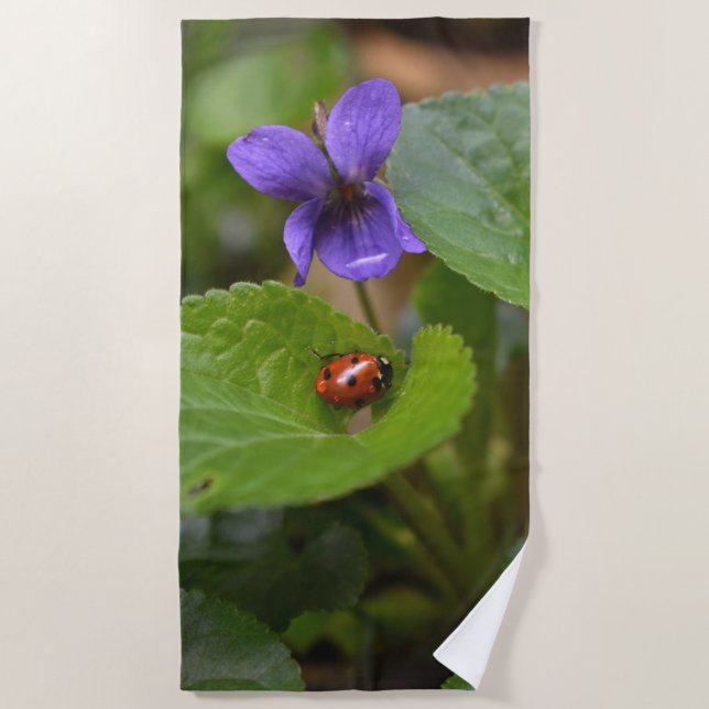 Ladybug on Sweet Violet Flowers Beach Towel (Front)