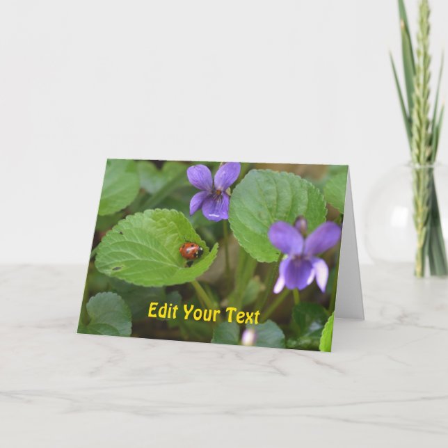 Ladybug on Sweet Violet Flowers Card (Front)