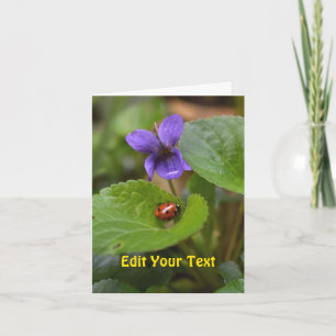 Ladybug on Sweet Violet Flowers Card