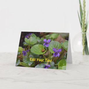 Ladybug on Sweet Violet Flowers Card