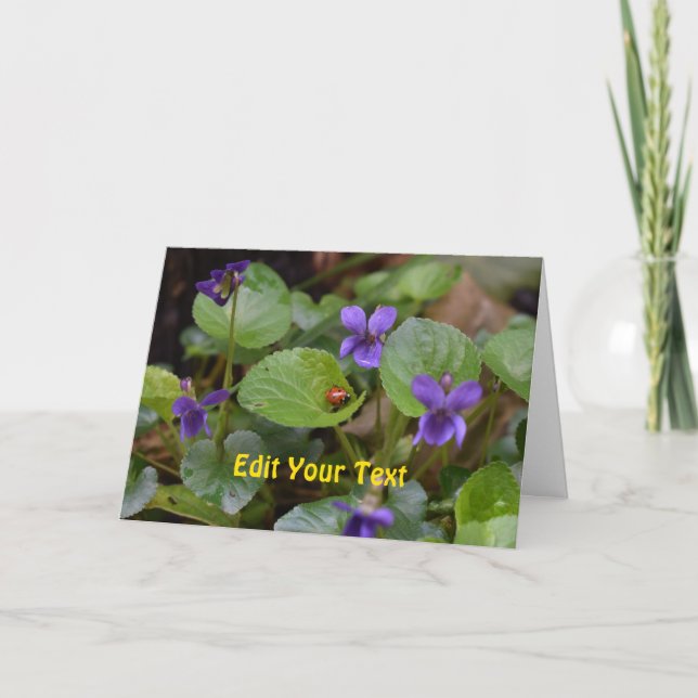 Ladybug on Sweet Violet Flowers Card (Front)