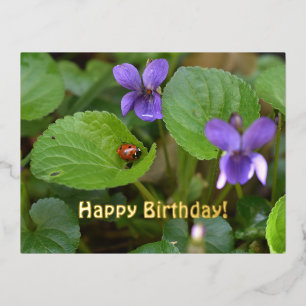 Ladybug on Sweet Violet Flowers Foil Holiday Postcard