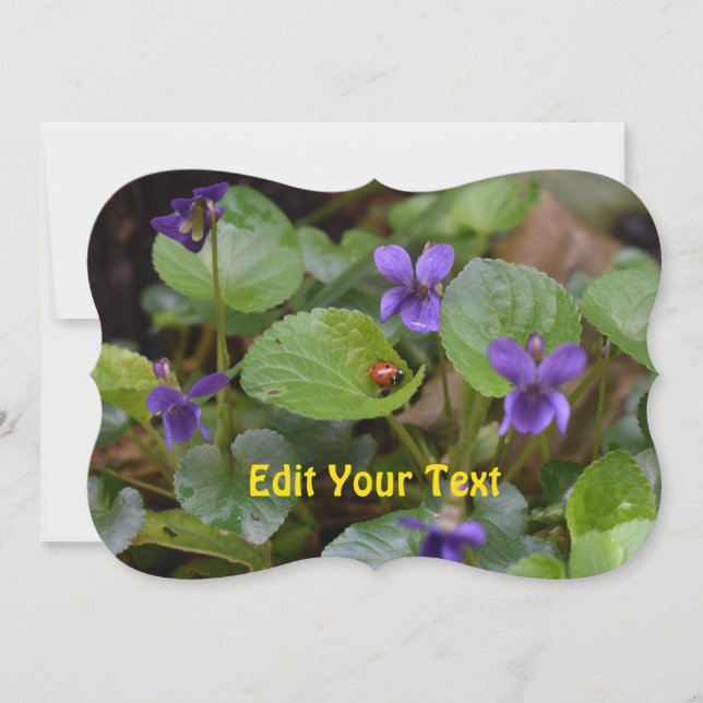 Ladybug on Sweet Violet Flowers Holiday Card (Front)