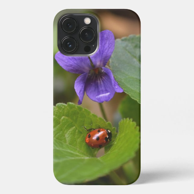 Ladybug on Sweet Violet Flowers iPhone Case (Back)