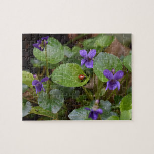 Ladybug on Sweet Violet Flowers Jigsaw Puzzle